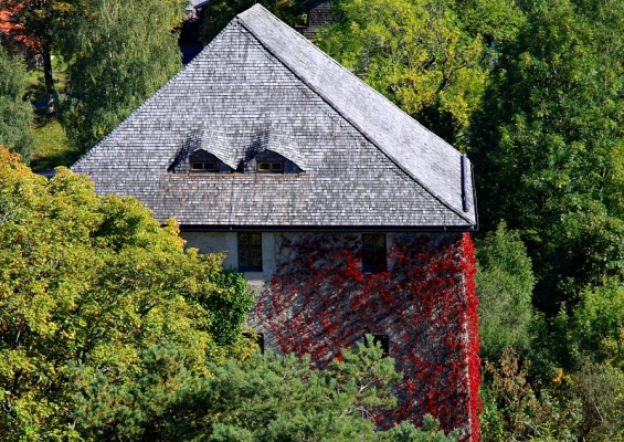 Herbstfarben nahe der Burgruine Weißenstein